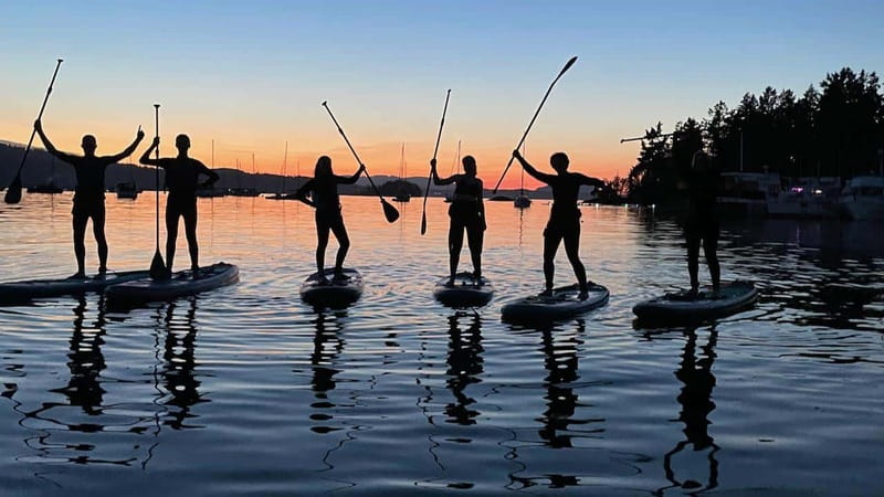 Brentwood Bay: Bioluminescence Tour - The Bioluminescence Paddle: Plankton Glow and Jellyfish Sparkle