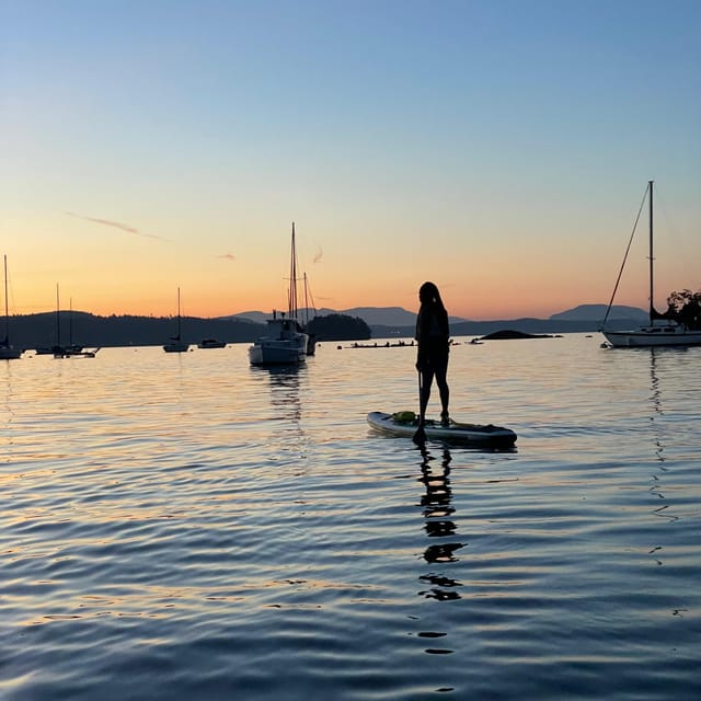 Brentwood Bay: Bioluminescence Tour - What You Might See, and How to Improve Your Odds