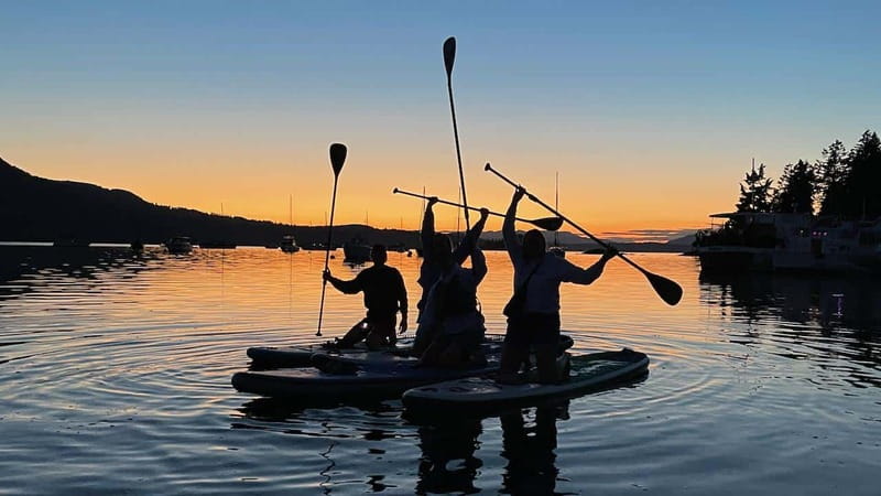 Brentwood Bay: Bioluminescence Tour - What to Bring (So You Don’t End Up Miserable)