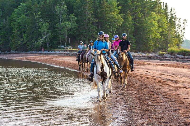 Brudenell: Family-Friendly Horse Ride goes on the Beach - Key takeaways before you go