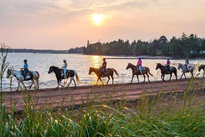 Brudenell: Family-Friendly Horse Ride goes on the Beach - Group size and guidance you’ll feel right away