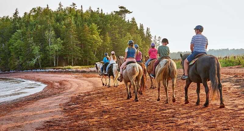 Brudenell: Family-Friendly Horse Ride goes on the Beach - Photos, the ice cream stop, and keeping your money expectations realistic