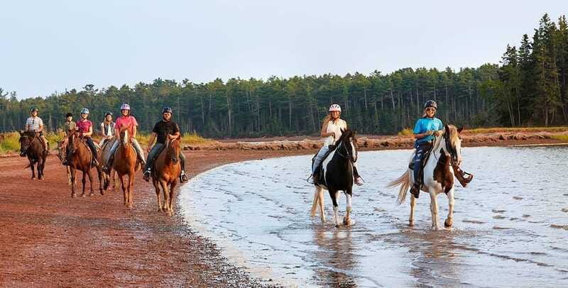 Brudenell: Family-Friendly Horse Ride goes on the Beach - Price and value for a 45-minute family ride