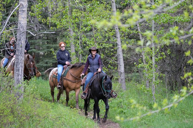 Buffalo Loop 1-Hour Horseback Trail Ride in Kananaskis - Buffalo Loop at Boundary Ranch: what you’re signing up for