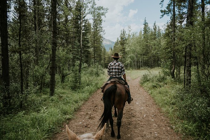 Buffalo Loop 1-Hour Horseback Trail Ride in Kananaskis - Weather and trail conditions: what to do when the mountains get muddy