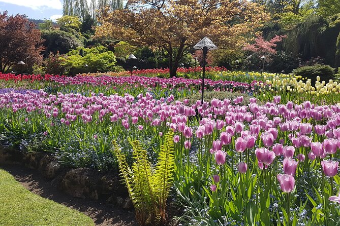 Butchart Gardens and City Highlights Private tour - Should you book this tour?