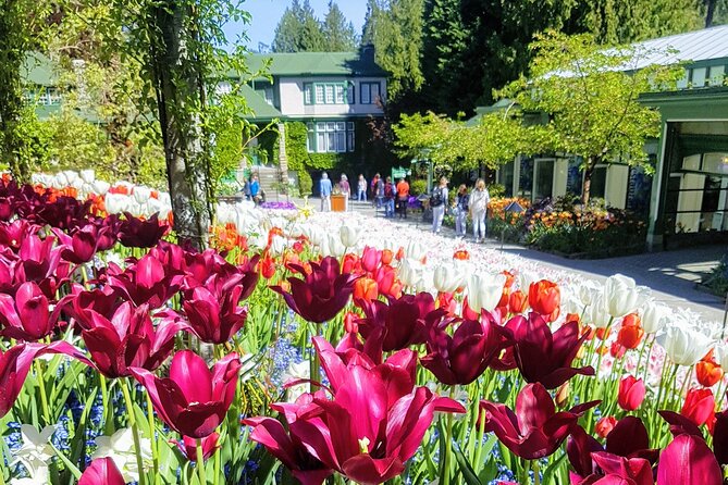 Butchart Gardens and City Highlights Private tour - Stop-by-stop: the city hits first, then Butchart Gardens