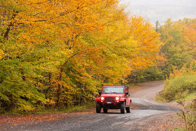Cabot Trail Jeep Adventure - Cruise Excursion - Private Jeep + port pickup: the real value for cruise days
