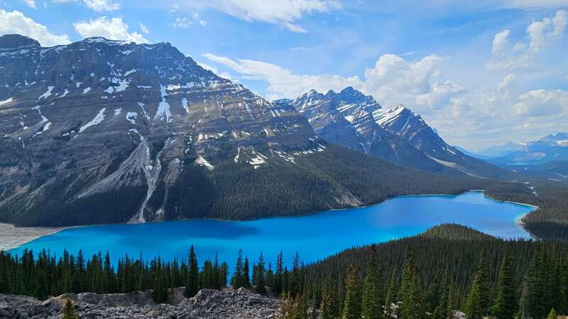 Calgary: 2-Day Banff National Park Highlights Summer Tour - Icefields Parkway highlights at Bow Lake and Peyto Lake viewpoints