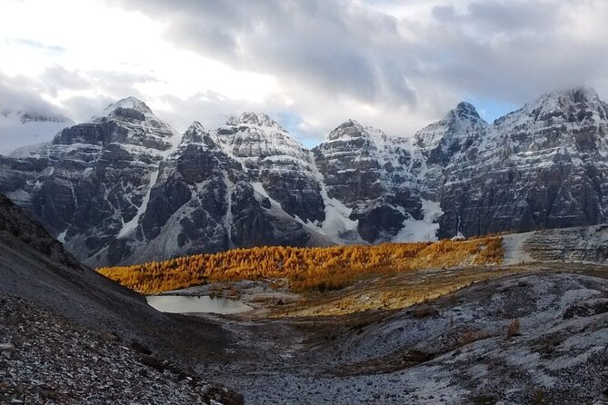 Calgary Airport Shuttle to Banff & Lake Louise - Comfort, Communication, and What the Drivers Add