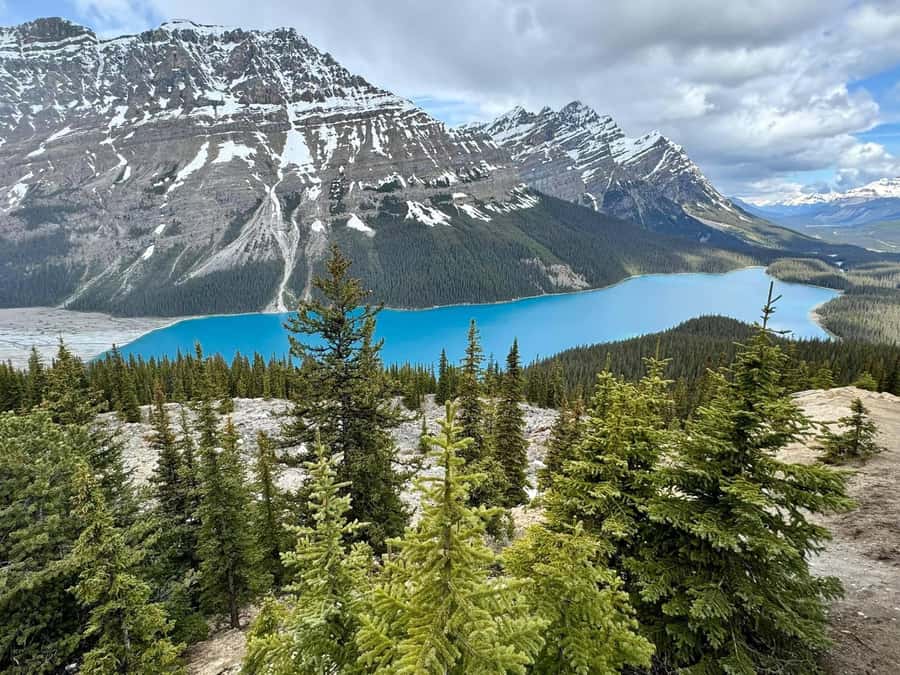 Calgary Banff: Columbia Icefield, Skywalk and Lakes Day Tour - Why this 11-hour Calgary to Icefields tour is a smart use of time