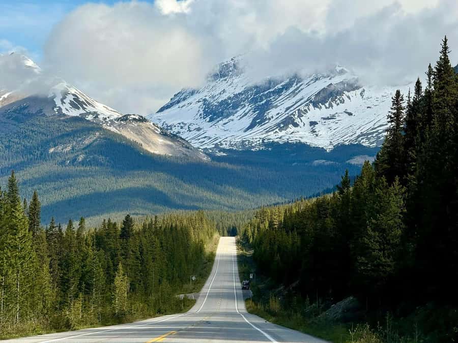 Calgary Banff: Columbia Icefield, Skywalk and Lakes Day Tour - Peyto Lake’s famous look, plus Waterfowl Lake for the second color hit