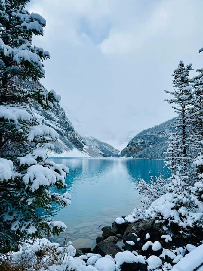 Calgary, Banff: Lake louise , Moraine ,Emerald Lake day Tour - Key points to know before you go