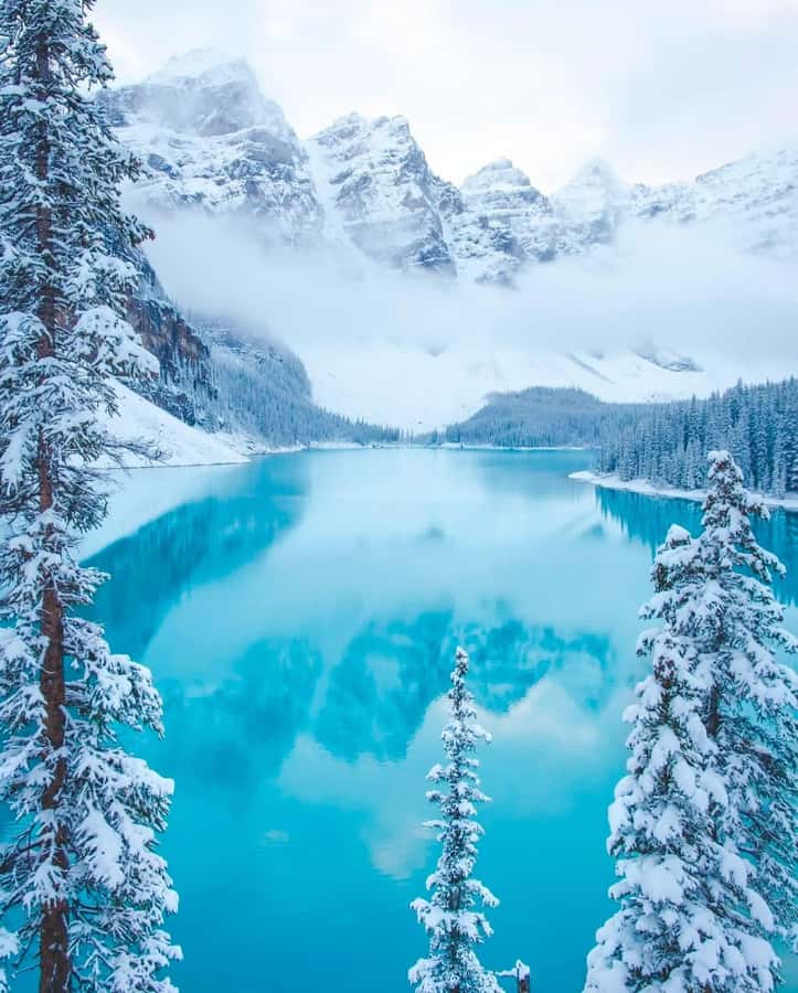 Calgary, Banff: Lake louise , Moraine ,Emerald Lake day Tour - Pickup times in Calgary, Canmore, and Banff (and why it matters)