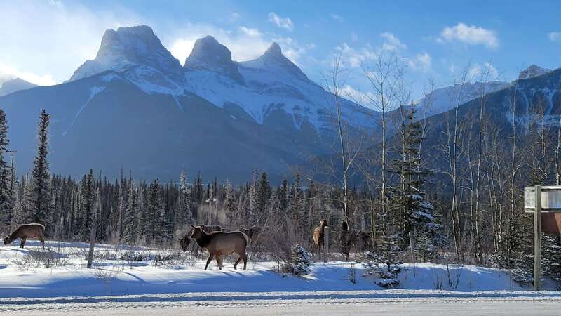 Calgary: Canmore, Banff, Lake Louise - Gondola Included - Tips for what to bring so the day stays fun