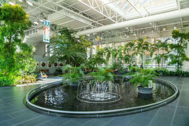 Calgary: City Highlights Walking Tour | 3-Hour - Arts Commons and the cultural side of downtown