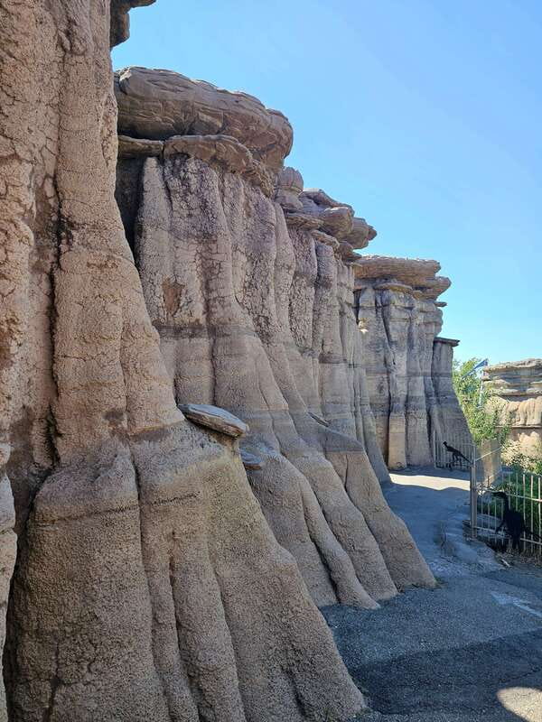 Calgary City Tour & Yamnuska Wolfdog Sanctuary Private Tour - Calgary Zoo and Calgary Tower: choose your level of admission spending