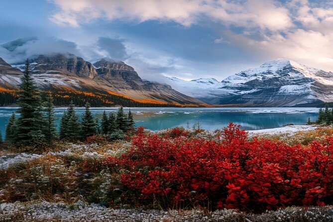 Calgary: Columbia Icefield Adventure, Skywalk and Peyto Lake Tour - The Skywalk over the Sunwapta Valley, worth it if you like heights