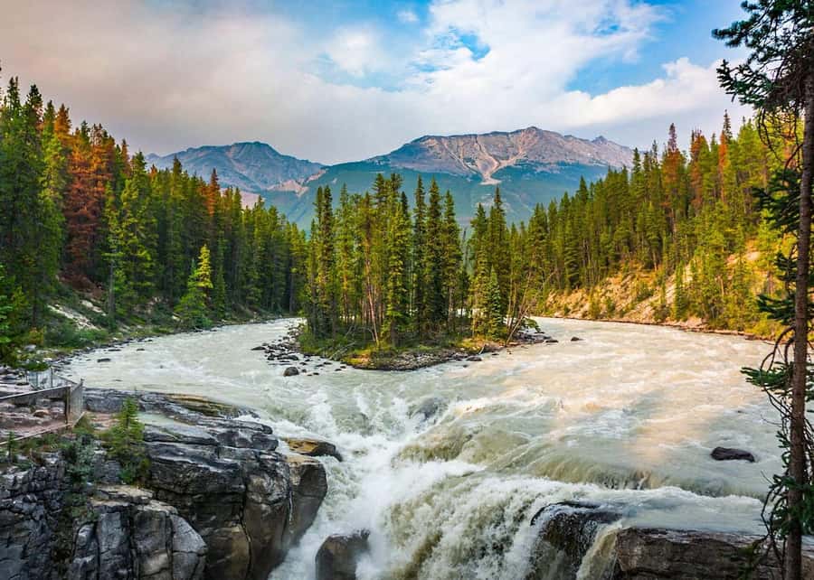 Calgary: Day Trip to Jasper with Lunch - Athabasca Glacier: short hike, big ice views