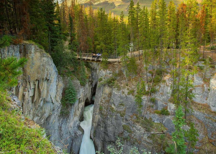 Calgary: Day Trip to Jasper with Lunch - Peyto Lake viewpoints for turquoise water and photo timing