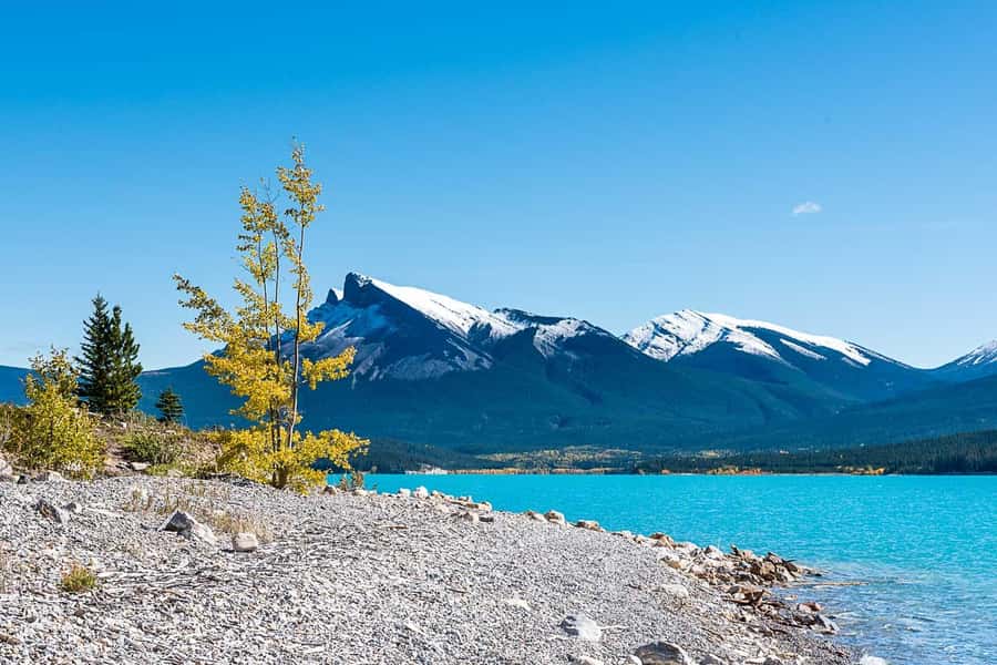 Calgary: Day Trip to Jasper with Lunch - Abraham Lake picnic: calm shoreline, wildlife watch