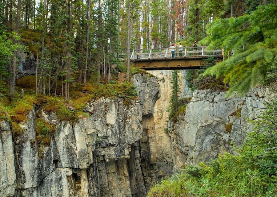 Calgary: Day Trip to Jasper with Lunch - Value of the $110 price and who this tour suits
