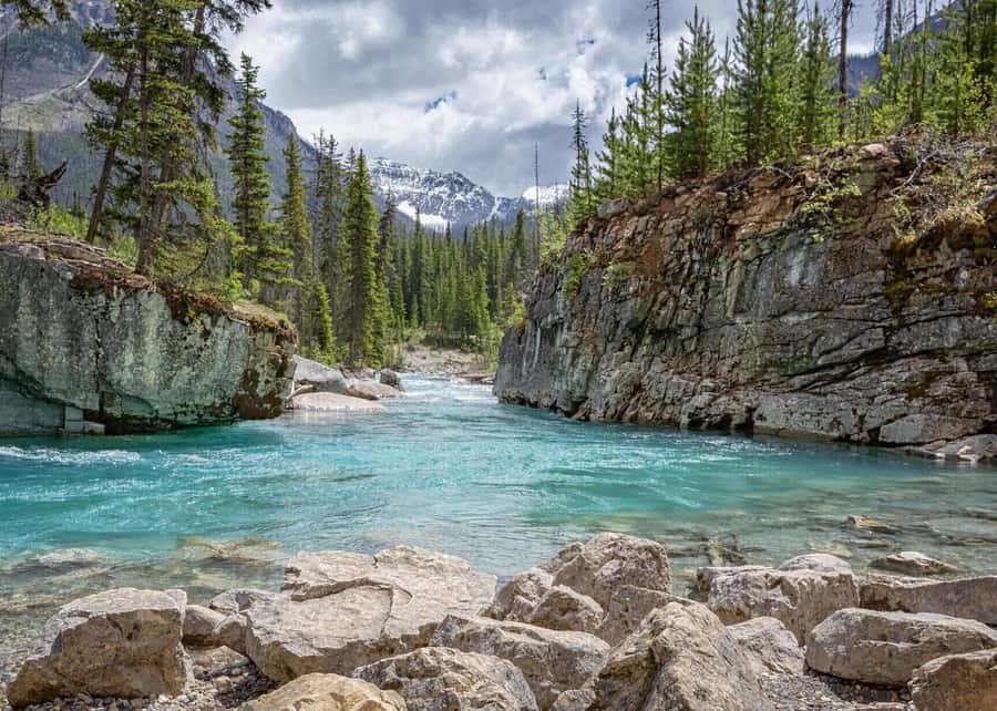 Calgary: Radium Hot Springs & Marble Canyon Day Trip - A One-Day Combo That Doesn’t Waste Your Time