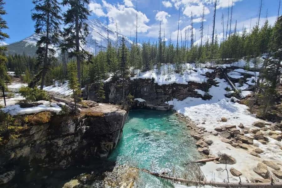 Calgary: Radium Hot Springs & Marble Canyon Day Trip - Kootenay Valley Viewpoint: A Quick Photo Stop With Big Payoff