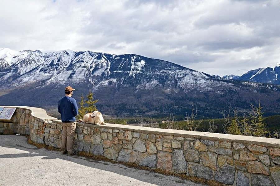 Calgary: Radium Hot Springs & Marble Canyon Day Trip - Price and Value: What You Pay, What You Don’t, and Why It Still Works