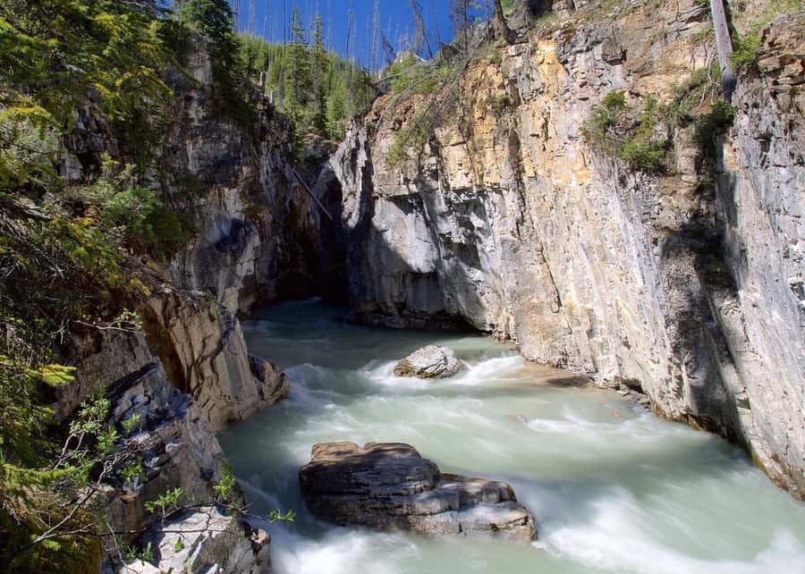 Calgary: Radium Hot Springs & Marble Canyon Day Trip - From Calgary: Small-Group Comfort and Long Park Drives