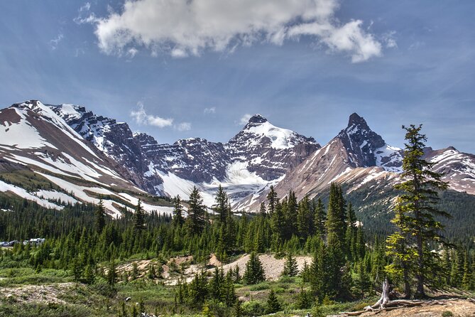 Calgary to Banff/Canmore PRIVATE Shuttle - Price and Value: What $145.76 Covers (and Why It Might Be Cheaper Than It Feels)