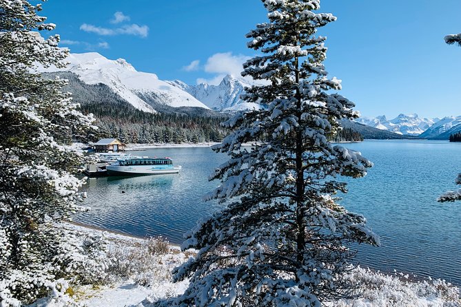 Calgary to Banff (Canmore) Public Shuttle - Price and value: why $20.23 can feel like a win