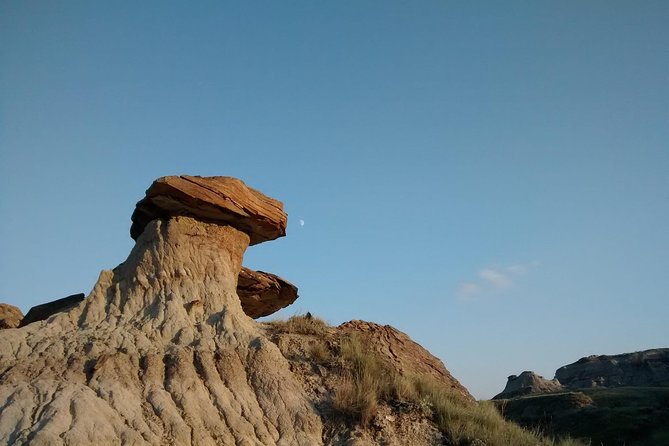 Calgary to Royal Museum | Drumheller – PRIVATE TOUR - Key highlights worth planning around