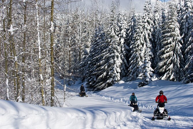 Callaghan Cruiser Snowmobile Tour - What’s included, what costs extra, and how to judge the value