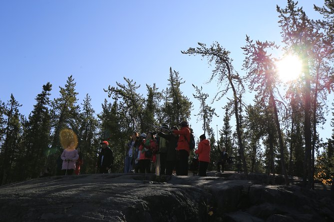 Cameron Falls Hiking Tour - Cameron Falls picnic and the “see it from both sides” moment
