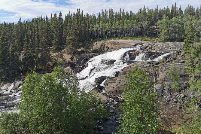 Cameron Falls Hiking Tour - Your guide makes the walk: Felix, Saxon, Verta, and the “don’t get left behind” driver mindset