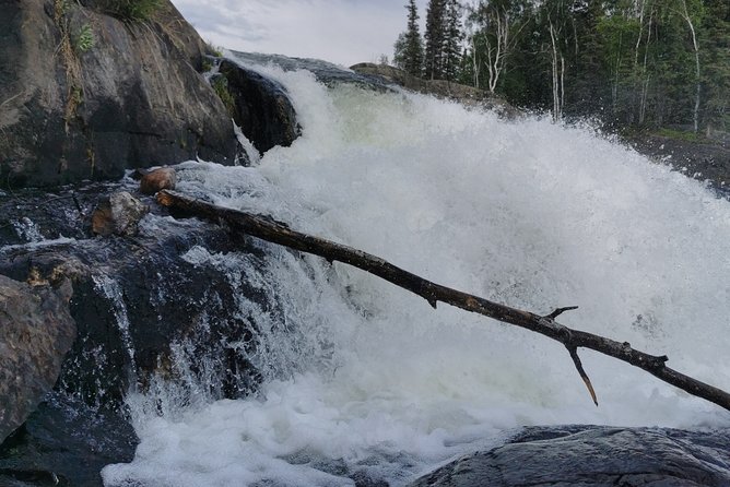 Cameron Falls Hiking Tour - Price and value at about $93.54 per person