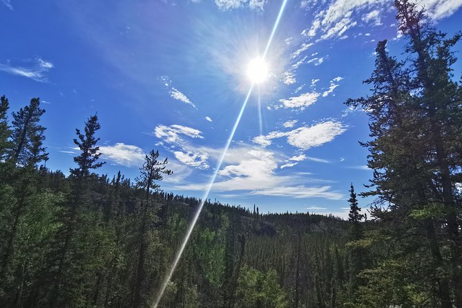 Cameron Falls Hiking Tour - Should you book the Cameron Falls Hiking Tour?