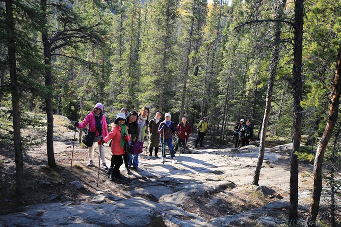 Cameron Falls Hiking Tour - Pickup, timing, and why that matters in Yellowknife