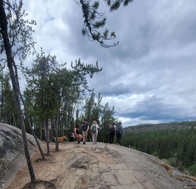 Cameron Falls Waterfall Tour - Safety on the trail: bug repellent, water, and bear bangers