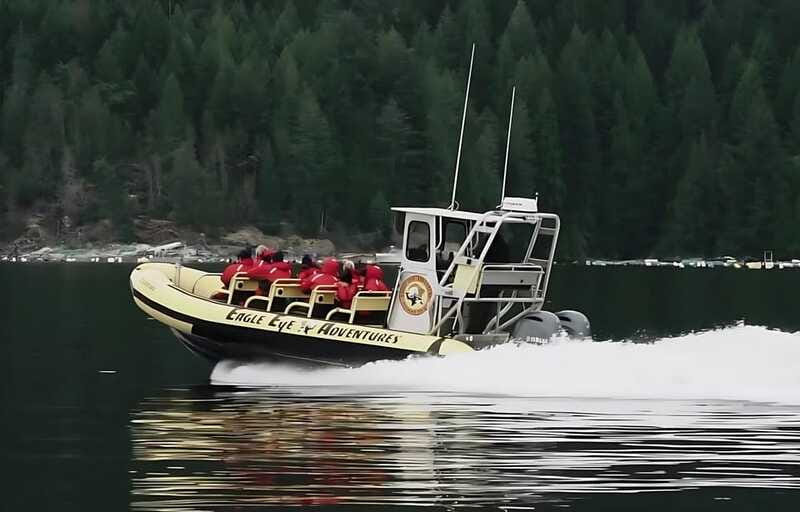 Campbell River: 4 Hour Whale & Wildlife Zodiac Boat Tour - FAQ