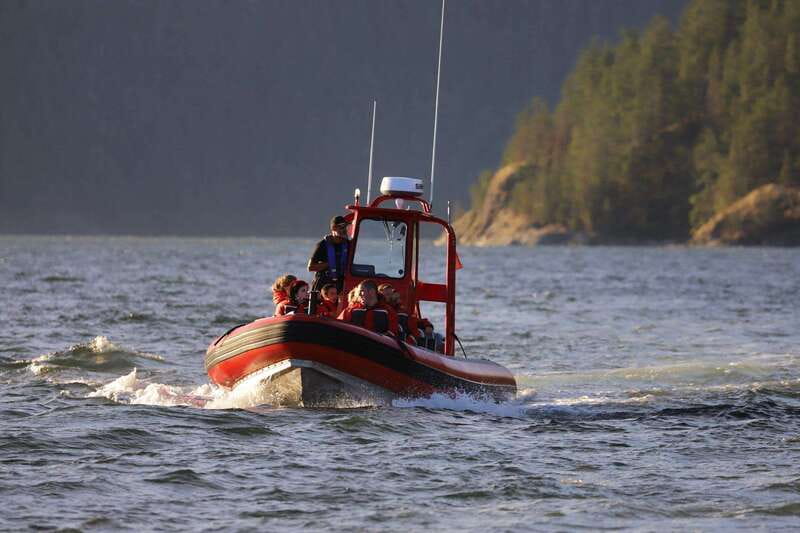 Campbell River: 6-Hour Whale Watching Boat Tour - The First Wildlife Zone: Narrow Passages Where Action Happens