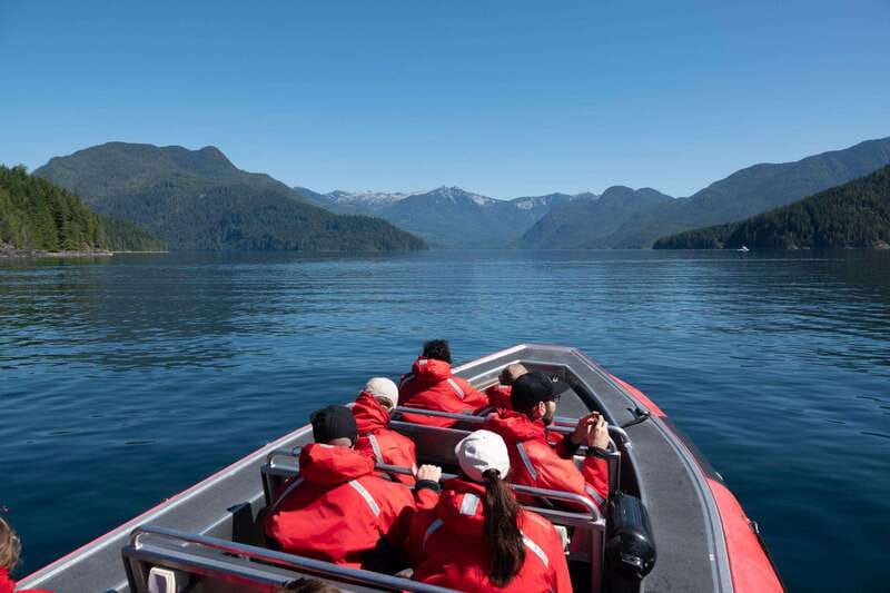 Campbell River: 6-Hour Whale Watching Boat Tour - Lunch on Shore: Fresh Wraps, Homemade Treats, and Real Break Time