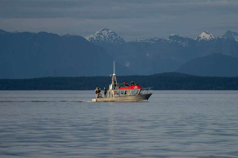 Campbell River: 6-Hour Whale Watching Boat Tour - The Second Stop, About 2.5 Hours: More Chance at Whales and Dolphins