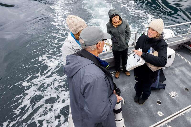 Campbell River: 6-Hour Whale Watching Boat Tour - What You Should Bring (And What You Can Skip)