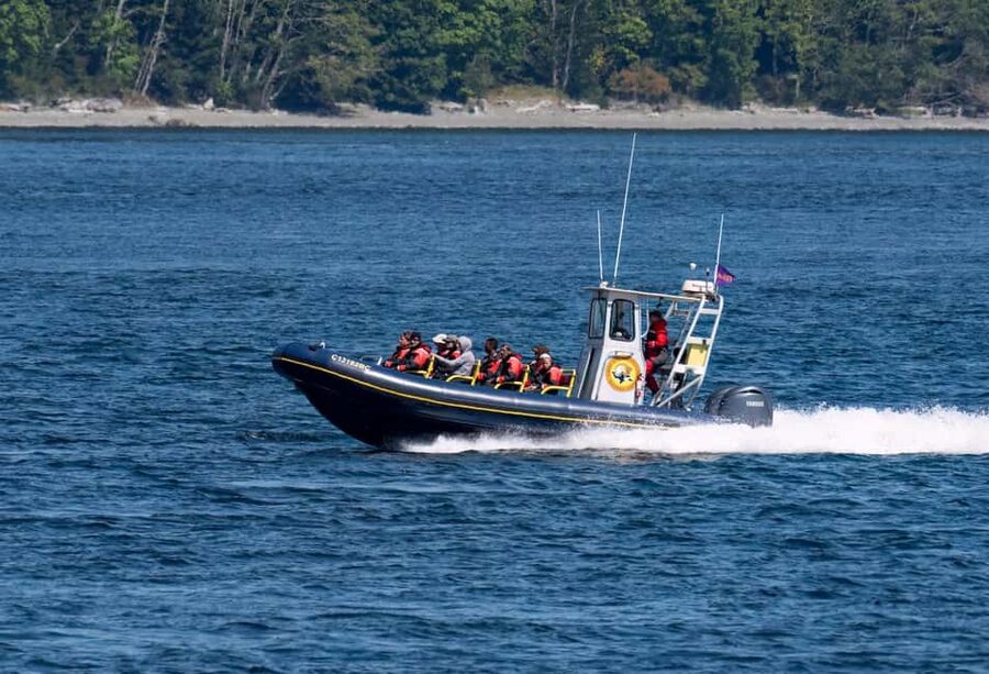 Campbell River: 6 Hour Zodiac Whale Watching Tour w/ Lunch - Zodiac whale watching on Discovery Passage: why the setting matters