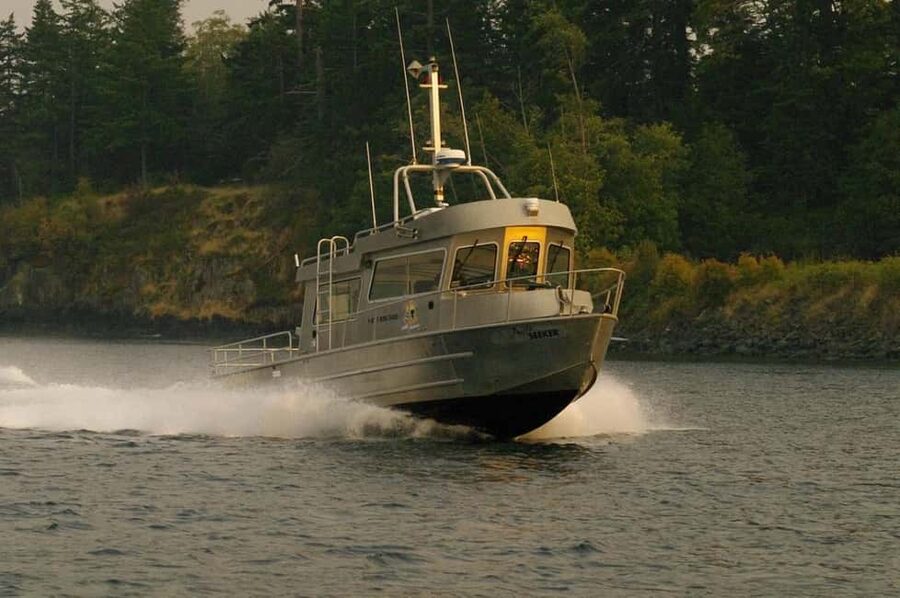 Campbell River: 7-Hour Big Animal Encounter Boat Tour - The heated boat setup: comfortable cruising is half the experience