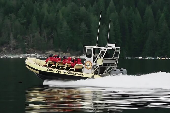 Campbell River, BC: 4 Hour Wildlife Tour Featuring Whale Watching - Key highlights worth circling
