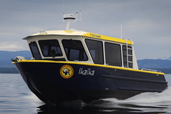 Campbell River, BC: 4 Hour Wildlife Tour Featuring Whale Watching - The Zodiac run: timing, meeting point, and how the day flows