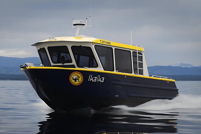 Campbell River, BC: Full Day Grizzly Bear Tour in Toba Inlet - The Campbell River start at 7:30 am, and why it matters